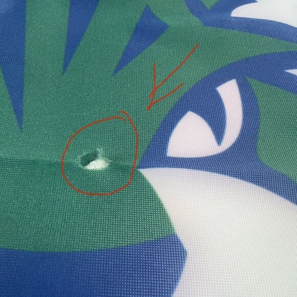 Georgia College & State University Flag - Picture 2 of 4